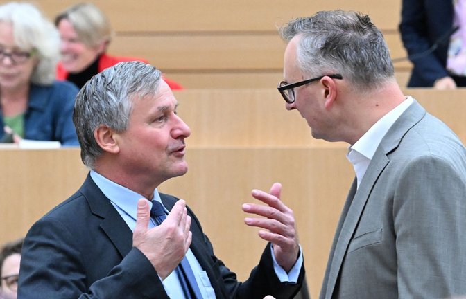 FDP-Landeschef Hans-Ulrich Rülke im Gespräch mit Grünen-Fraktionschef Andreas Schwarz.<span class='image-autor'>Foto: dpa/Bernd Weißbrod</span>