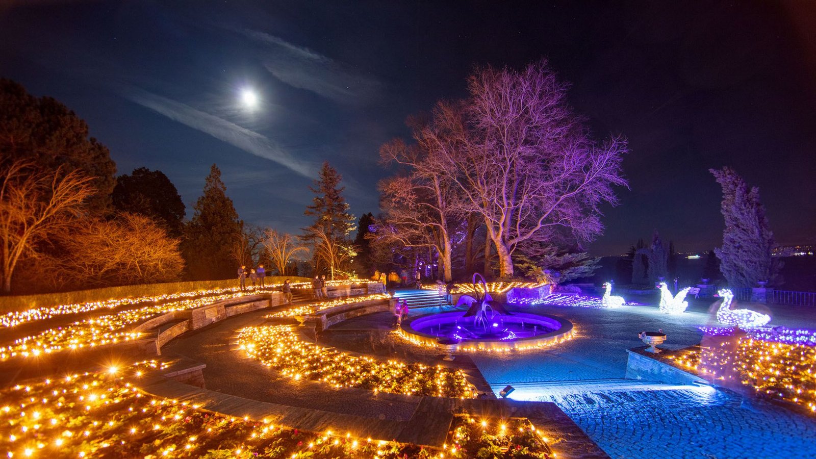 Es werde Licht: Auf der Insel Mainau verzaubern Lichtinstallationen in der Parklandschaft abendliche Besucher. Die 160 Jahre alte Victoria-Linde verwandelten die Lichtkünstler in einen märchenhaften Glühwürmchenbaum, mit 16 000 zu Musik programmierten Leuchtdioden schufen sie ein riesiges Lichtermeer. Der Christmas Garden erinnert ans schwedische Lichterfest und die Wurzeln der Mainaubesitzer Bernadotte.Foto: Insel Mainau/Achim Mende Es werde Licht: Auf der Insel Mainau verzaubern Lichtinstallationen in der Parklandschaft abendliche Besucher. Die 160 Jahre alte Victoria-Linde verwandelten die Lichtkünstler in einen märchenhaften Glühwürmchenbaum, mit 16 000 zu Musik programmierten Leuchtdioden schufen sie ein riesiges Lichtermeer. Der Christmas Garden erinnert ans schwedische Lichterfest und die Wurzeln der Mainaubesitzer Bernadotte.Foto: Insel Mainau/Achim Mende