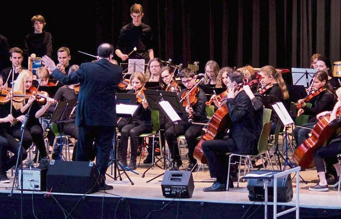 Das Jugendsinfonieorchester ist das Aushängeschild der Jugendmusikschule. Fotos: Friedrich