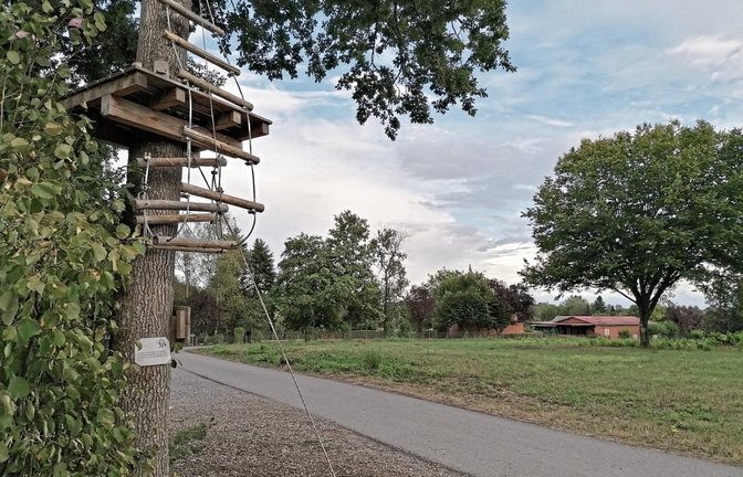Die Wiese gegenüber vom Kletterwald ist als Standort für die Illinger Waldkita ausersehen worden.  Foto: Banholzer