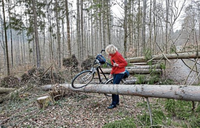 „Man sollte Sturmwarnungen wirklich ernst nehmen“, schreibt Clara Spielmann zum Foto aus dem Gündelbacher Wald vom Sonntag.  Foto: p