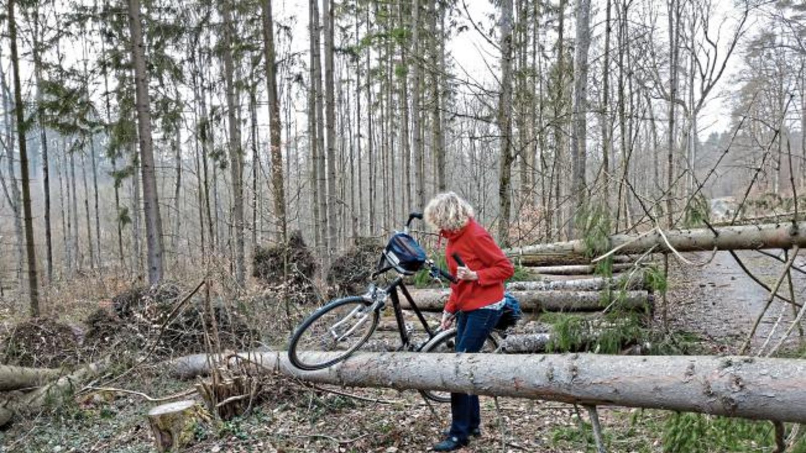 „Man sollte Sturmwarnungen wirklich ernst nehmen“, schreibt Clara Spielmann zum Foto aus dem Gündelbacher Wald vom Sonntag. Foto: p „Man sollte Sturmwarnungen wirklich ernst nehmen“, schreibt Clara Spielmann zum Foto aus dem Gündelbacher Wald vom Sonntag. Foto: p