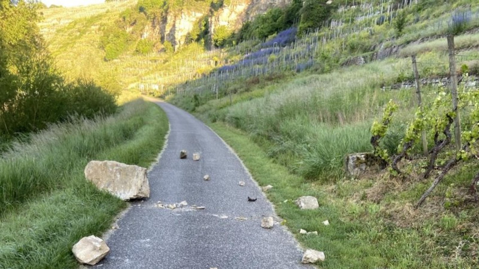 Felssturz Felsen Steinschlag Enztalradweg Mühlhausen Foto:p