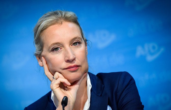 Alice Weidel steht auf Listenplatz eins.<span class='image-autor'>Foto: dpa/Bernd von Jutrczenka</span>