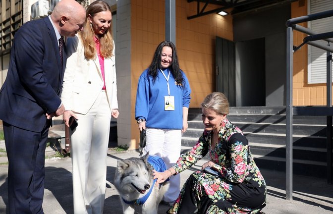 Herzogin Sophie streichelt einen Hund im Büro des United Nations Population Fund (UNFPA) in Kiew<span class='image-autor'>Foto: dpa/Anatolii Stepanov</span>