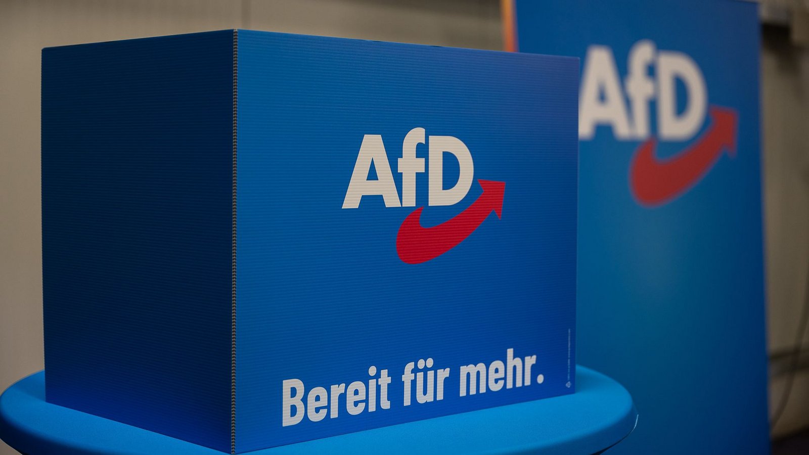 Die AfD-Fraktion hat zum Ende der Legislaturperiode im Bundestag an die 100 Anträge zur Abstimmung gestellt. (Archivbild)Foto: dpa/Paul Glaser Die AfD-Fraktion hat zum Ende der Legislaturperiode im Bundestag an die 100 Anträge zur Abstimmung gestellt. (Archivbild)Foto: dpa/Paul Glaser