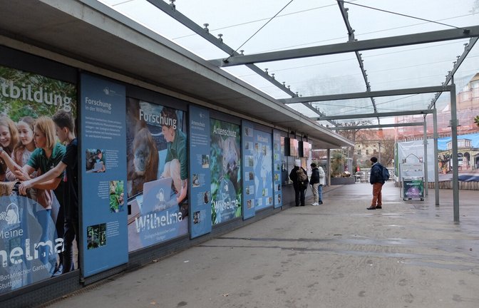 Die Wilhelma will mit Hilfe einer digitalen Plattform mehr internationale Besucher gewinnen.<span class='image-autor'>Foto: Iris Frey</span>