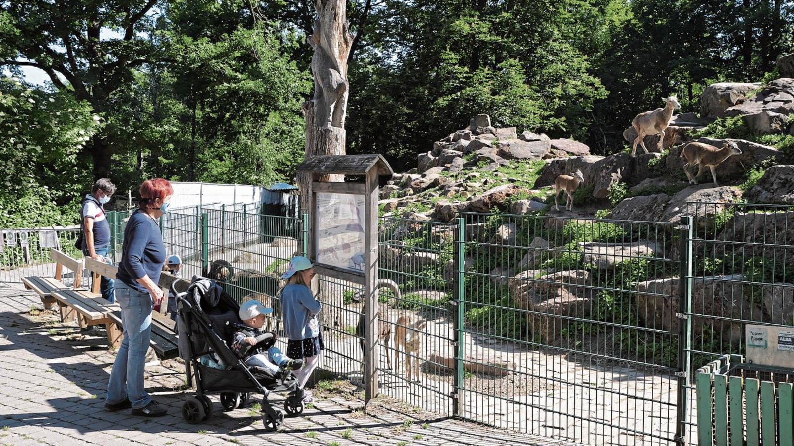 Die Tiere begrüßen neugierig die ersten Besucher im Wildpark Pforzheim. Fotos: Friedrich