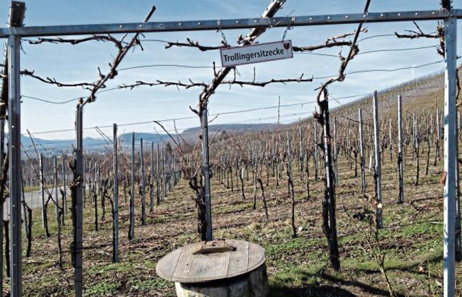 „Die Trollingersitzecke im Weinberg bei Horrheim sollte jeder für den nächsten Spaziergang auf dem Radar haben“, schreibt unser Leser Friedbert Rößler zu seinem Foto.