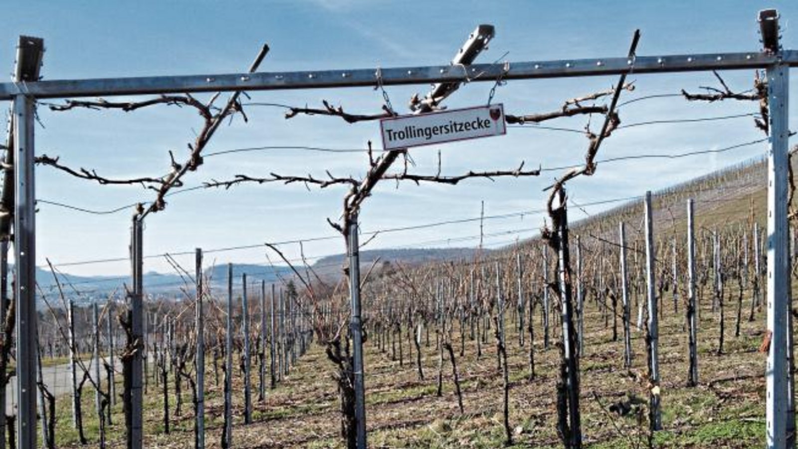 „Die Trollingersitzecke im Weinberg bei Horrheim sollte jeder für den nächsten Spaziergang auf dem Radar haben“, schreibt unser Leser Friedbert Rößler zu seinem Foto. „Die Trollingersitzecke im Weinberg bei Horrheim sollte jeder für den nächsten Spaziergang auf dem Radar haben“, schreibt unser Leser Friedbert Rößler zu seinem Foto.