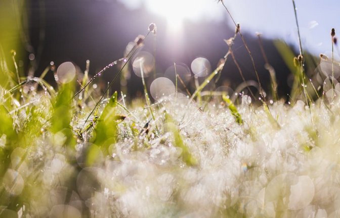 Nach Nebel am Morgen kommt die Sonne heraus. (Symbolfoto)<span class='image-autor'>Philipp von Ditfurth/dpa</span>