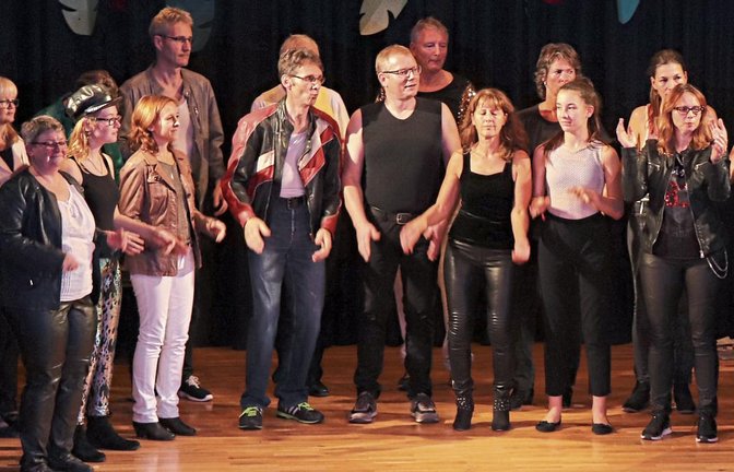 Musikrevue beim Jahreskonzert des Liederkranzes Eberdingen. Foto: p