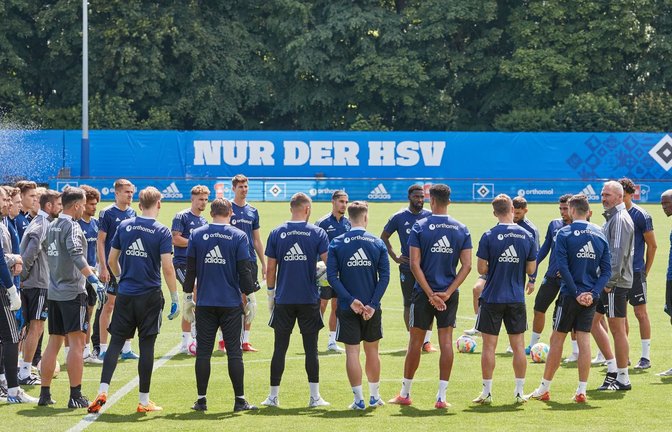 Der Hamburger SV geht als Aufstiegsfavorit in die neue Saison.<span class='image-autor'>Foto: Georg Wendt/dpa</span>