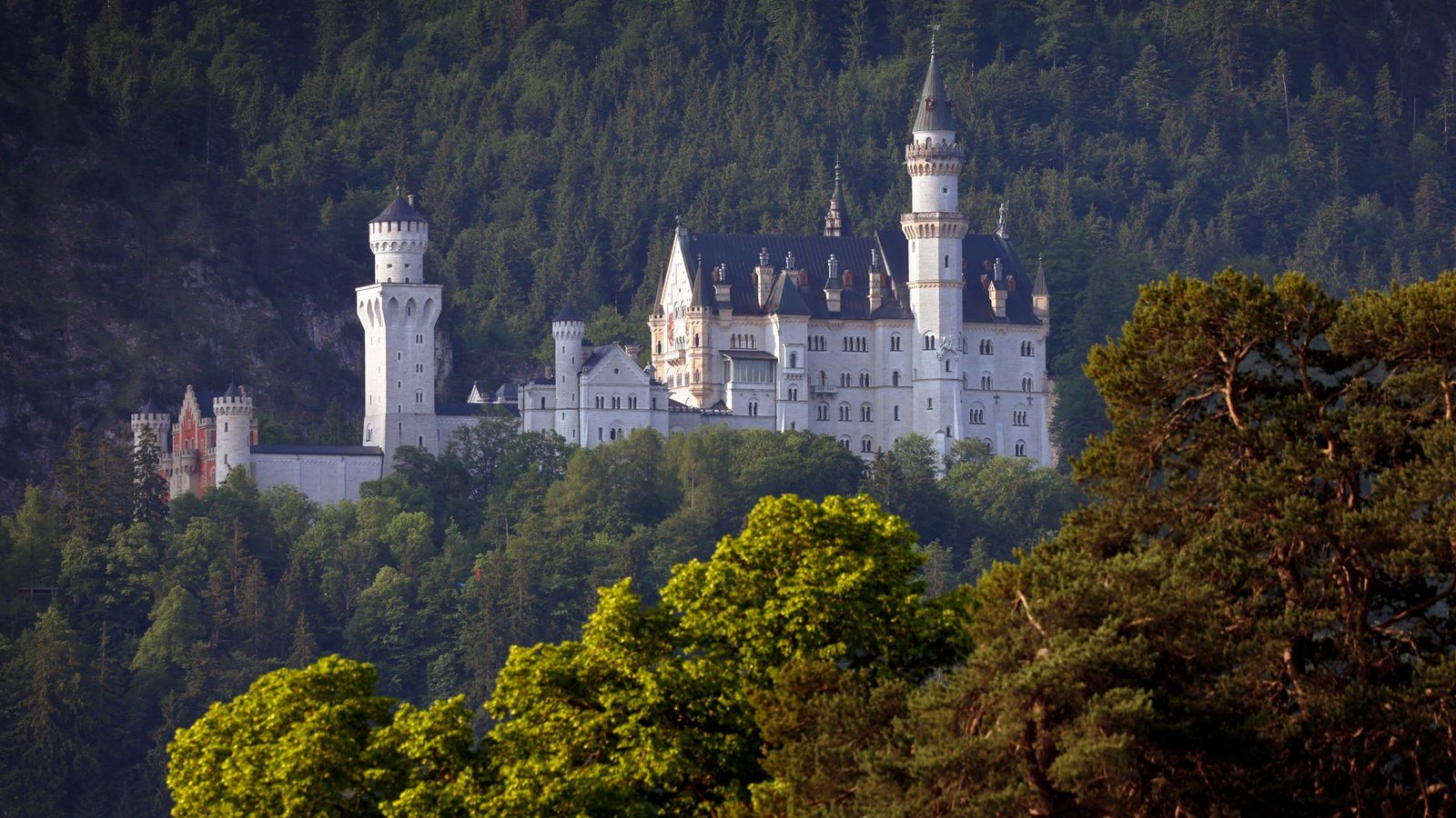 Das Schloss Neuschwanstein lockt jährlich 1,4 Millionen Besucher aus aller Welt an. (Archivbild)Foto: Karl-Josef Hildenbrand/dpa Das Schloss Neuschwanstein lockt jährlich 1,4 Millionen Besucher aus aller Welt an. (Archivbild)Foto: Karl-Josef Hildenbrand/dpa