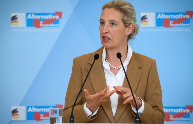 AfD-Chefin Alice Weidel unterstützt den Vorstoß, die Abschaffung des Verfassungsschutzes zu prüfen (Archivfoto).<span class='image-autor'>Bernd von Jutrczenka/dpa</span>