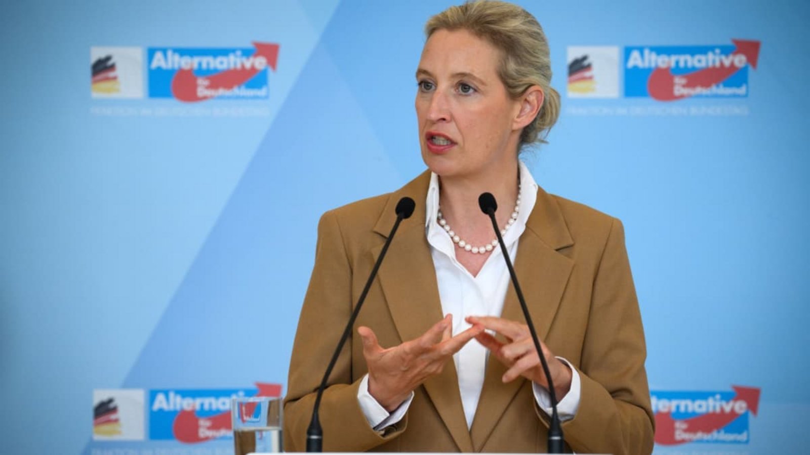AfD-Chefin Alice Weidel unterstützt den Vorstoß, die Abschaffung des Verfassungsschutzes zu prüfen (Archivfoto).Bernd von Jutrczenka/dpa AfD-Chefin Alice Weidel unterstützt den Vorstoß, die Abschaffung des Verfassungsschutzes zu prüfen (Archivfoto).Bernd von Jutrczenka/dpa