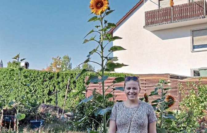 Lisa Fischer und Dennis Brabanski aus Enzweihingen haben eine rekordverdächtige Sonnenblume im Garten mit über drei Meter. Foto: Fischer