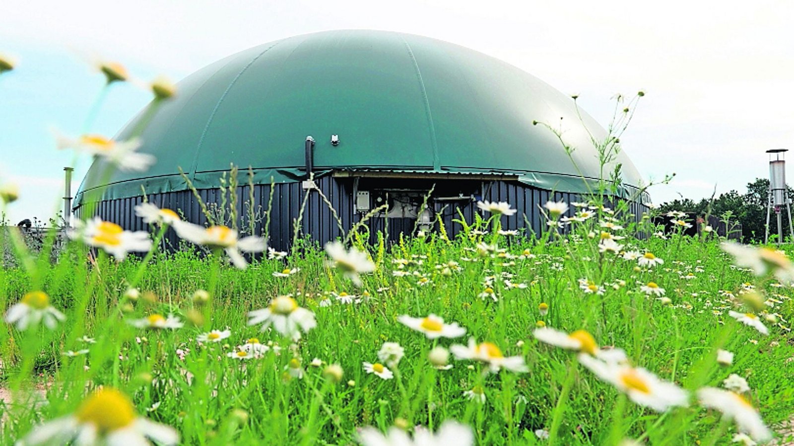 Erneuerbare Energien sollen ohne Zwang gefördert werden: Biogasanlage in Norddeutschland (Symbolbild).Foto: picture alliance / Maurizio Gamb Erneuerbare Energien sollen ohne Zwang gefördert werden: Biogasanlage in Norddeutschland (Symbolbild).Foto: picture alliance / Maurizio Gamb