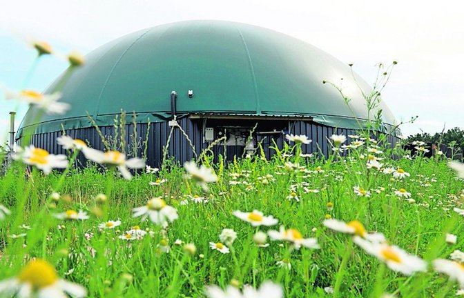 Erneuerbare Energien sollen ohne Zwang gefördert werden: Biogasanlage in Norddeutschland (Symbolbild).<span class='image-autor'>Foto: picture alliance / Maurizio Gamb</span>
