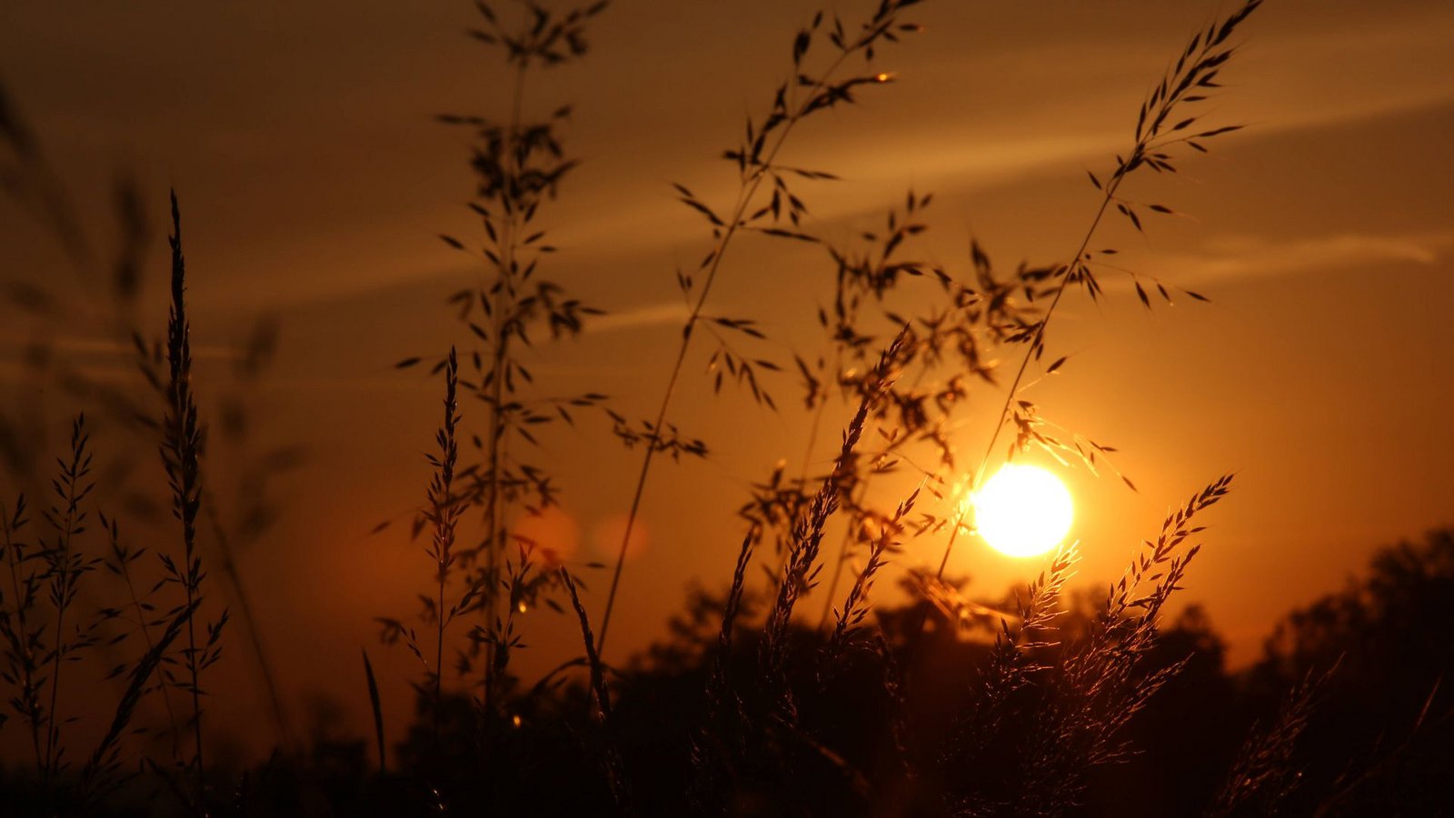 Zunehmende Sommerliche Hitze ist nicht nur ein Wetterthema, sondern auch ein Warnsignal für den Klimaschutz (Symbolbild).Foto: imago images/Rene Traut