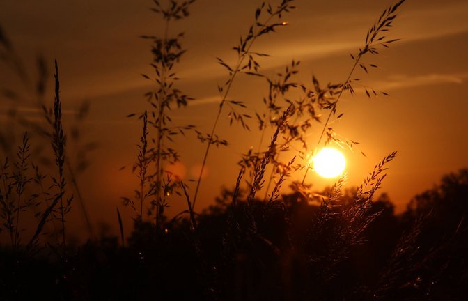Zunehmende Sommerliche Hitze ist nicht nur ein Wetterthema, sondern auch ein Warnsignal für den Klimaschutz (Symbolbild).<span class='image-autor'>Foto: imago images/Rene Traut</span>
