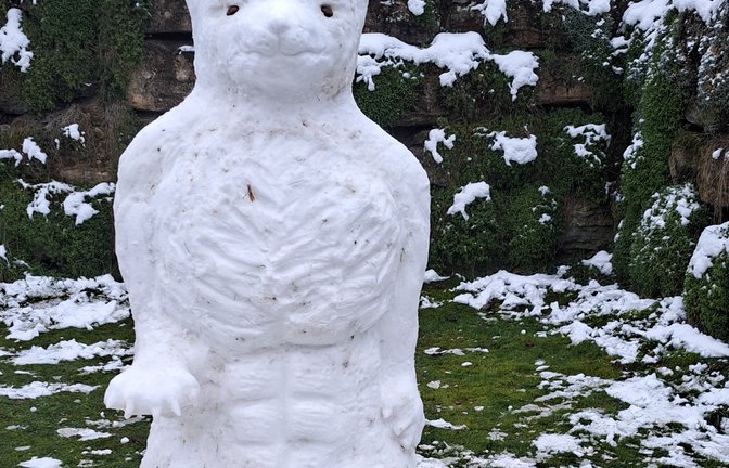 Gut behütet wird dieser kleine Hund in Nussdorf von einem Schneebär, der mit beachtlichen Bauchmuskeln und scharfen Krallen daherkommt. Danke an Willi Gille fürs Foto.