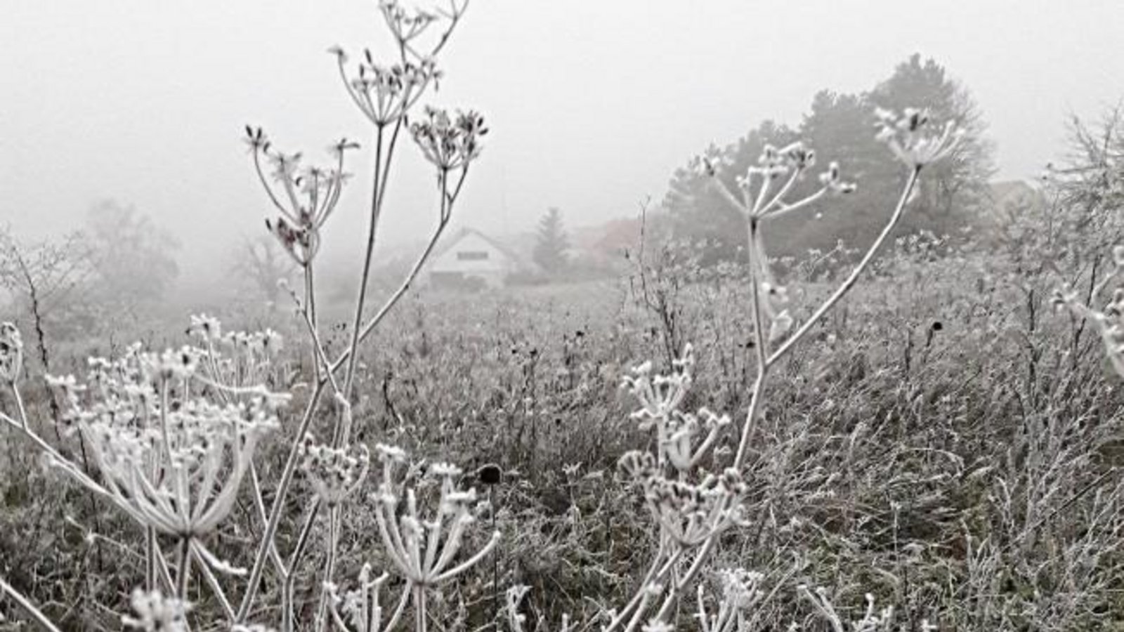 Kalt ist’s im Ländle.  Foto: Rücker