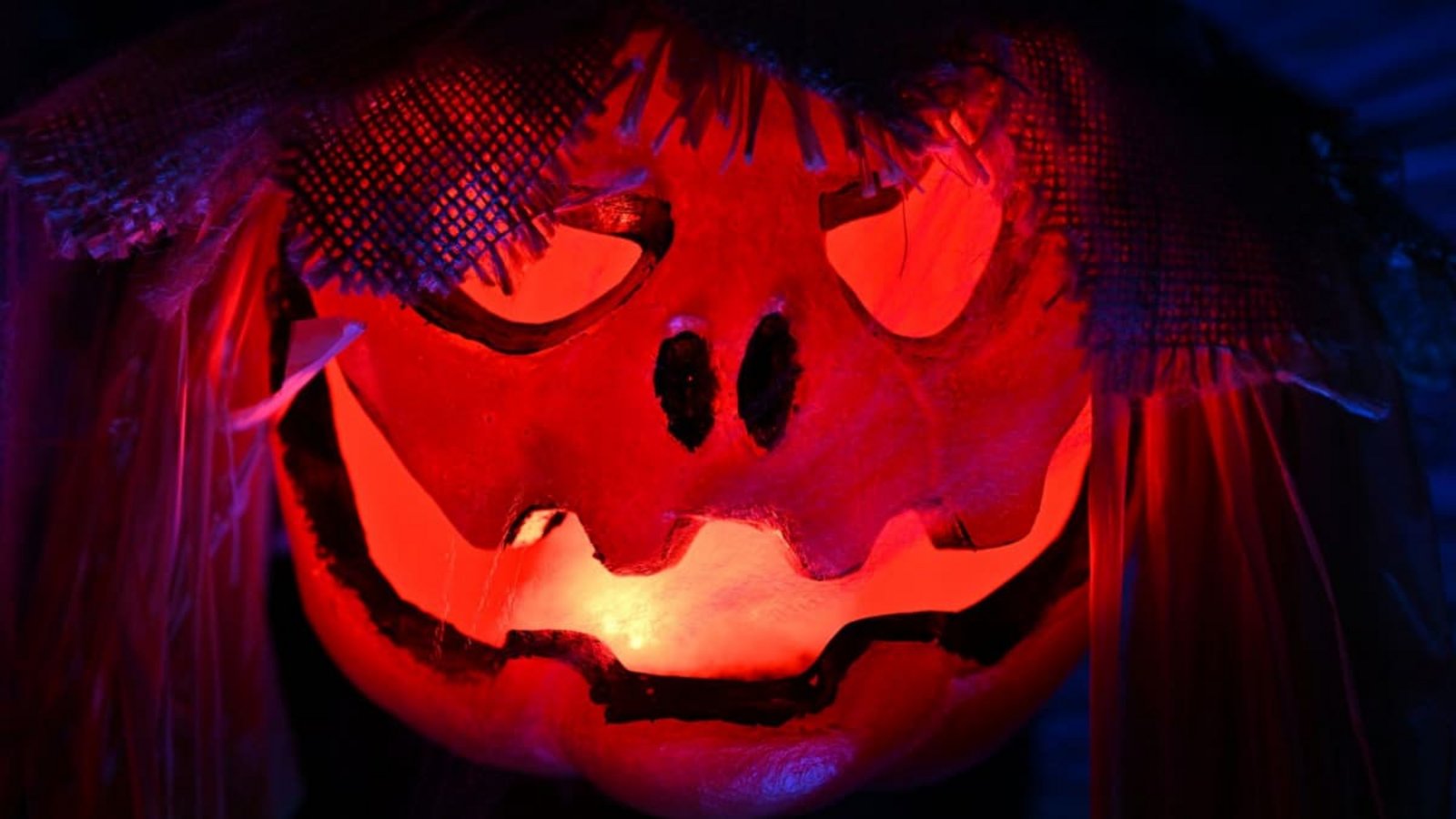 Viele legen sich zur Halloween-Zeit gruselige Dekoration für ihre Gärten zu.Martin Schutt/dpa Viele legen sich zur Halloween-Zeit gruselige Dekoration für ihre Gärten zu.Martin Schutt/dpa