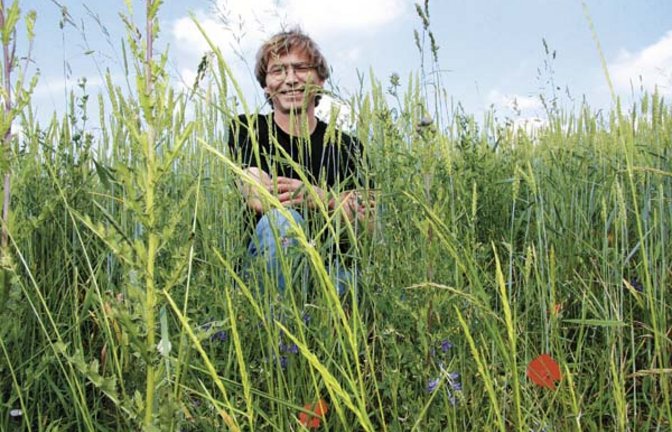 Ökolandwirt Michael Braun im Bioweizenfeld. Foto: Rücker