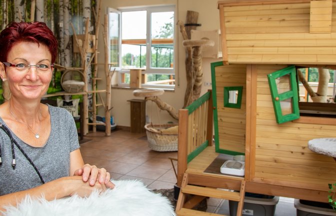 Birgit Gröschel bietet ihren vierbeinigen Gästen im Großen Zimmer viele Kletter- und Unterschlupfmöglichkeiten.  <span class='image-autor'>Foto: Bürkle</span>
