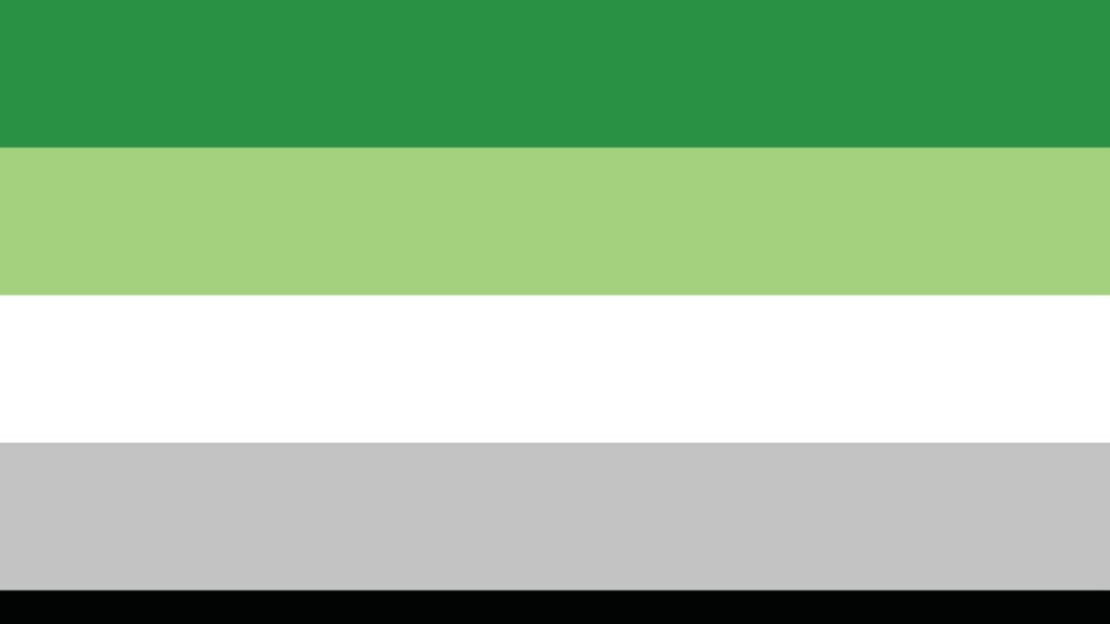 Flagge für aromantische Menschen: Die Aromantic Pride Flagge hat fünf horizontale Streifen: dunkelgrün, hellgrün, weiß, grau und schwarz. Die grünen Streifen steht für Aromantik bzw. das aromatische Spektrum, der weiße Streifen symbolisiert platonische und ästhetische Anziehung, der graue und schwarze Streifen stehen für die Grauzone zwischen romantischen und aromatischen Orientierungen und der schwarze Streifen für das Fehlen romantischer Anziehung. Aromantik beschreibt eine Orientierung, die durch fehlende romantische Anziehung oder einen geringen oder fehlenden Wunsch nach romantischen Beziehungen gekennzeichnet ist. Aromantische Menschen können emotionale Verbindungen und Intimität auf nicht-romantische Weise erleben, z. B. durch Freundschaften oder familiäre Beziehungen.Foto: Vector bucket/Shutterstock