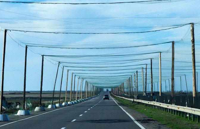 Netze über den Strtaßen bei Cherson sollen russische Drohnen abhalten. (Archivbild)<span class='image-autor'>Foto: Efrem Lukatsky/AP/dpa</span>