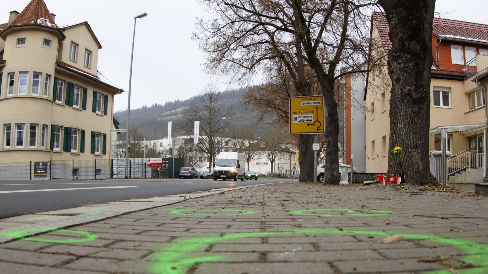 Zeichen auf der Straße und Kerzen an einem Baum markieren die Stelle, wo die 78-Jährige vom Rad gestoßen wurde.Foto: dpa/Heiko Becker Zeichen auf der Straße und Kerzen an einem Baum markieren die Stelle, wo die 78-Jährige vom Rad gestoßen wurde.Foto: dpa/Heiko Becker