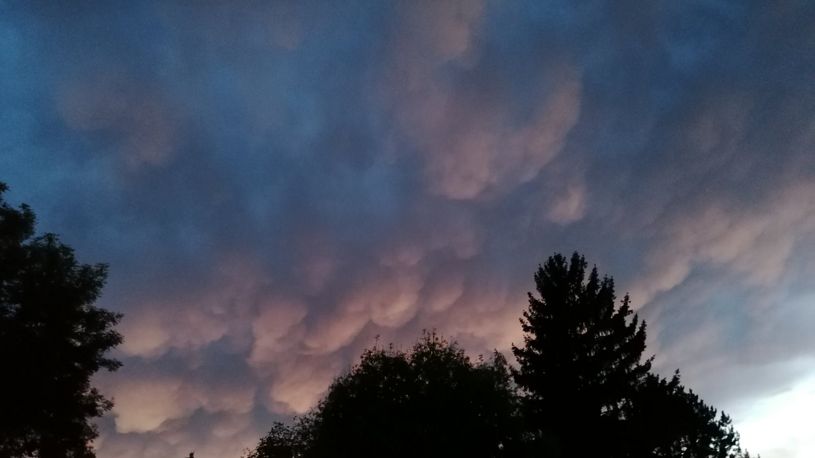 Beeindruckendes Wetterphänomen: Mammatuswolken am abendlichen Himmel über Vaihingen. Foto: Banholzer Beeindruckendes Wetterphänomen: Mammatuswolken am abendlichen Himmel über Vaihingen. Foto: Banholzer