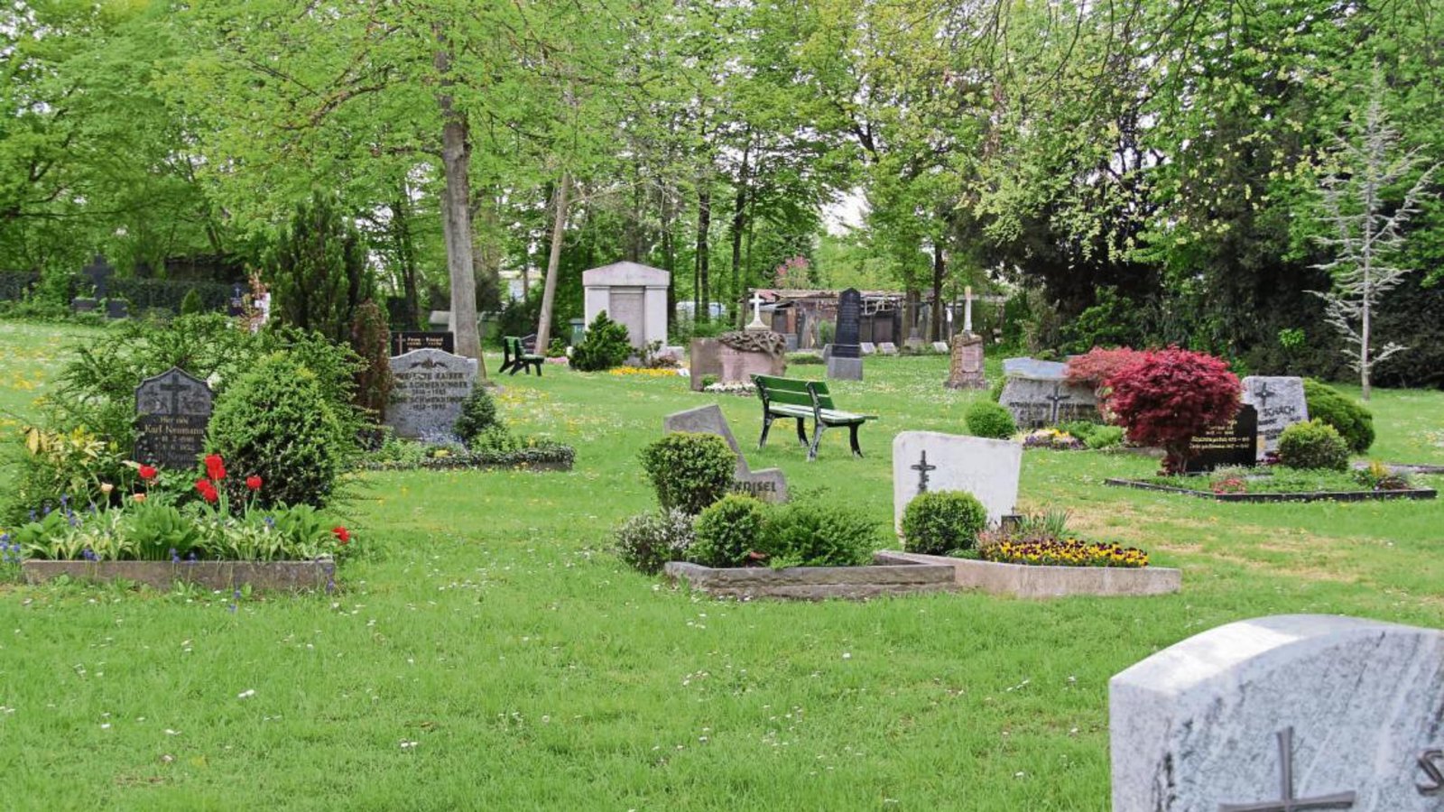 Auf dem Alten Friedhof in Illingen gibt es nicht mehr viele Gräber. Nach einem Beschluss von 1979 soll er aufgelöst werden. Foto: Elsässer Auf dem Alten Friedhof in Illingen gibt es nicht mehr viele Gräber. Nach einem Beschluss von 1979 soll er aufgelöst werden. Foto: Elsässer