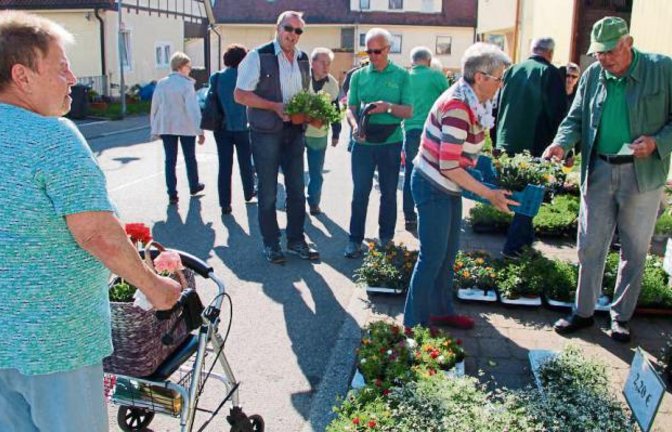 Der erste OGV-Vorsitzende Fritz Bayha hielt mit seinen Vereinskollegen wieder ein buntes Blumenmeer parat.  Foto: Gergen