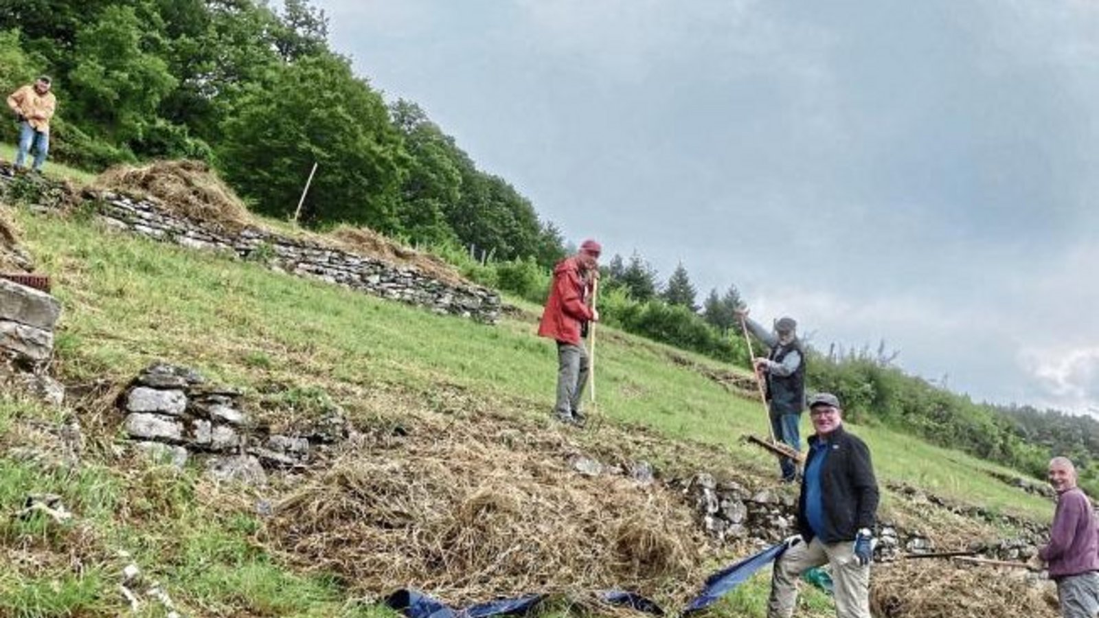 Aktive des BUND-Kreisverbands pflegten kürzlich wieder einen 20 Ar großen ehemaligen Weinberg am Geigersberg bei Ochsenbach. Der BUND entfernt den Aufwuchs einmal pro Jahr, um die Magerrasenfläche für seltene Pflanzen und Tiere offen zu halten. Die zehn B Aktive des BUND-Kreisverbands pflegten kürzlich wieder einen 20 Ar großen ehemaligen Weinberg am Geigersberg bei Ochsenbach. Der BUND entfernt den Aufwuchs einmal pro Jahr, um die Magerrasenfläche für seltene Pflanzen und Tiere offen zu halten. Die zehn B