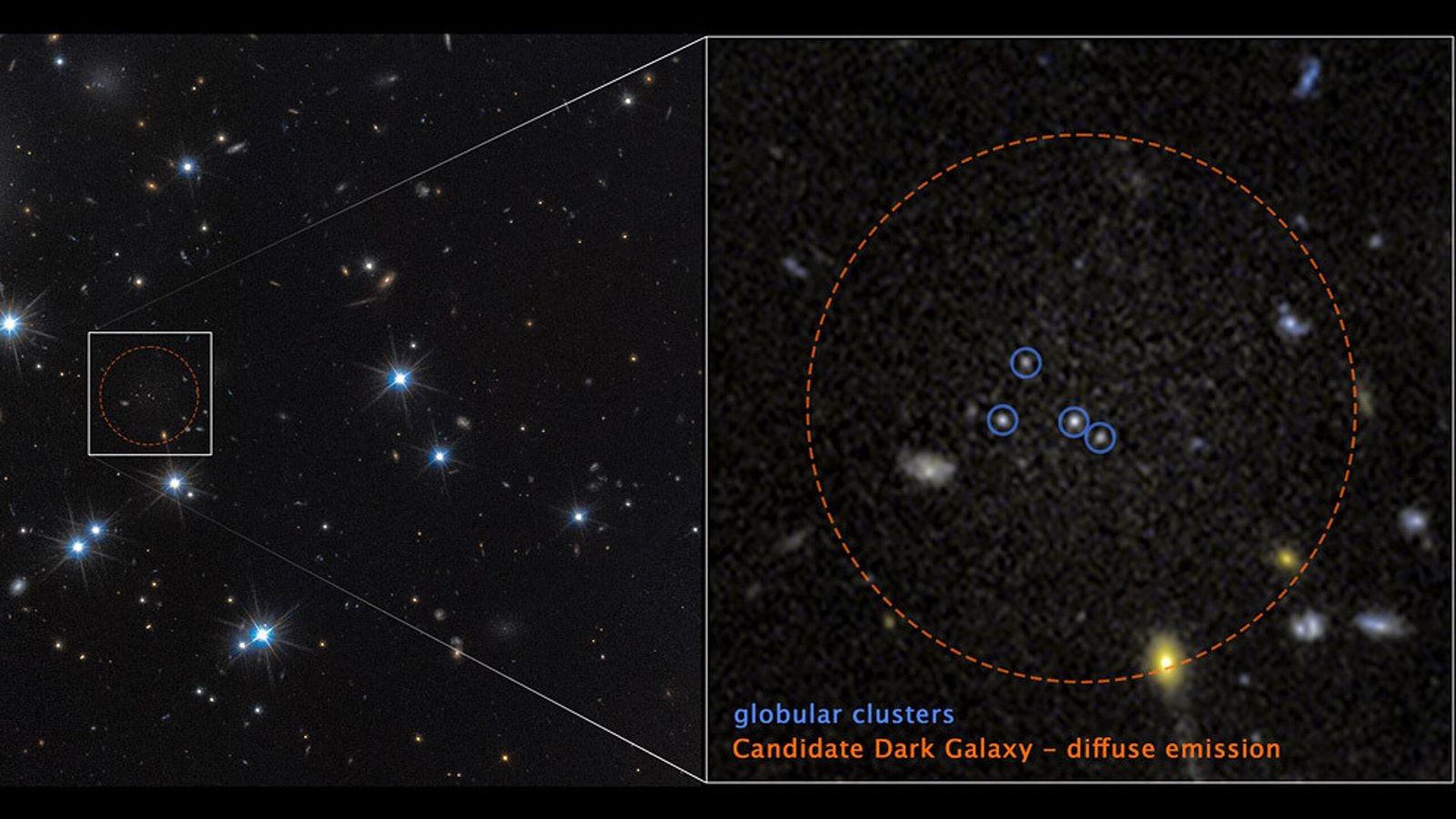 Astronomen haben die bisher extremste dunkle Galaxie entdeckt – sie besteht zu 99,9 Prozent aus Dunkler Materie. Erkennbar ist sie nur an vier Kugelsternhaufen (blaue Kreise).Foto: © Nasa/Esa/D. Li (University of Toronto)/J. DePasquale (STScI) Astronomen haben die bisher extremste dunkle Galaxie entdeckt – sie besteht zu 99,9 Prozent aus Dunkler Materie. Erkennbar ist sie nur an vier Kugelsternhaufen (blaue Kreise).Foto: © Nasa/Esa/D. Li (University of Toronto)/J. DePasquale (STScI)