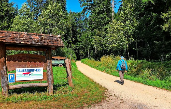Auf dem Weg ins Marbachtal: Wanderer bei Börtlingen-Zell.<span class='image-autor'>Foto: Jakob Panitz</span>
