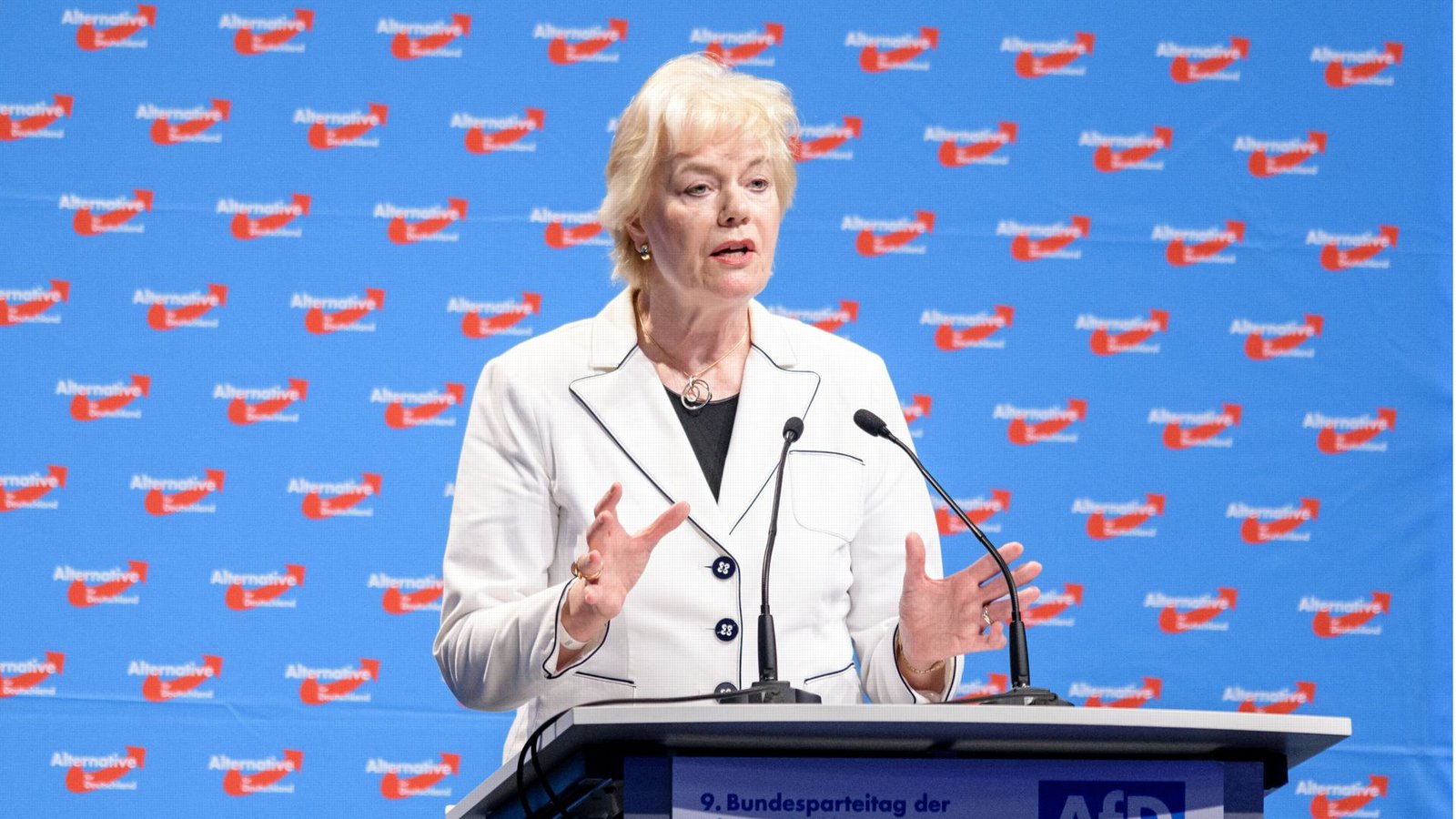 Erika Steinbach ist Vorsitzende der AfD-nahen Desiderius-Erasmus-Stiftung.Foto: dpa/Matthias Balk Erika Steinbach ist Vorsitzende der AfD-nahen Desiderius-Erasmus-Stiftung.Foto: dpa/Matthias Balk