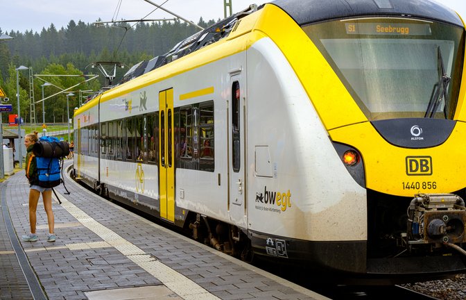 bwegt selbst betreibt keine Züge.<span class='image-autor'>Foto: Steven Van Aerschot / shutterstock.com</span>