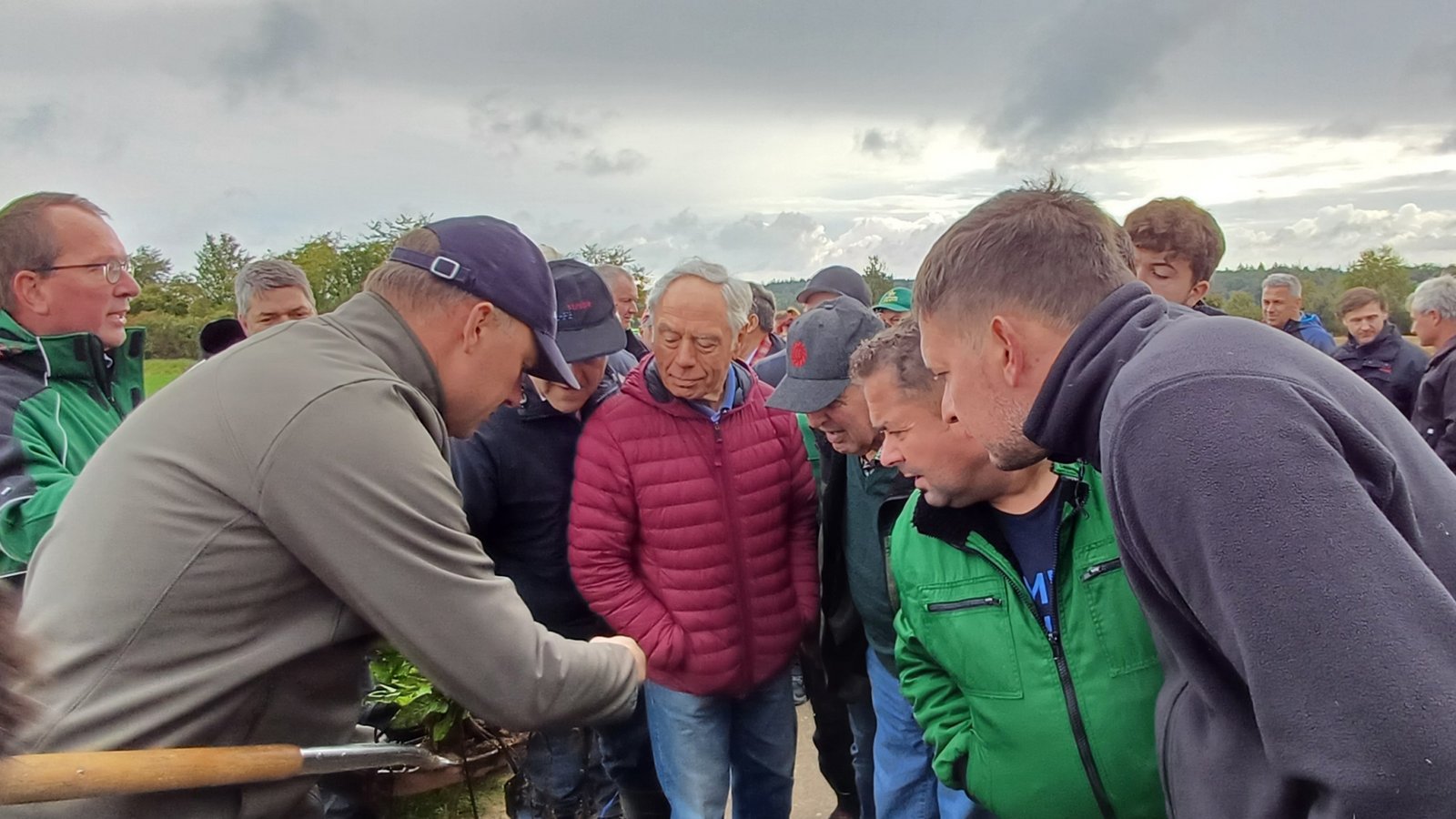 Hier werden die kleinen, weißen Nymphen der Zikade an Rübenwurzeln gesucht – und gefunden.