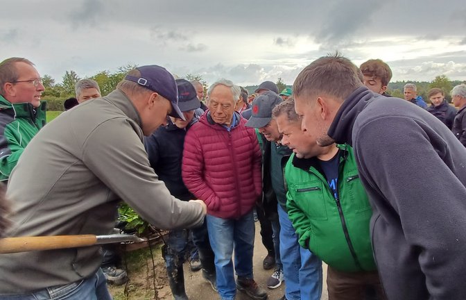 Hier werden die kleinen, weißen Nymphen der Zikade an Rübenwurzeln gesucht – und gefunden.