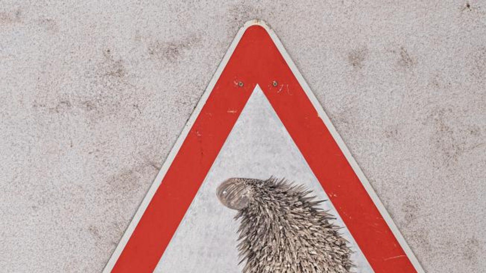 Versuch einer Schildinterpretation: Achtung vor freilaufenden Tierchen einer Eberdinger Künstlerin. Entdeckt und fotografiert von Berthold Mede. Versuch einer Schildinterpretation: Achtung vor freilaufenden Tierchen einer Eberdinger Künstlerin. Entdeckt und fotografiert von Berthold Mede.