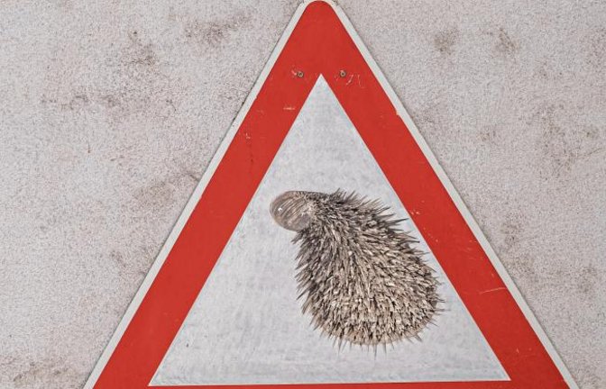 Versuch einer Schildinterpretation: Achtung vor freilaufenden Tierchen einer Eberdinger Künstlerin. Entdeckt und fotografiert von Berthold Mede.