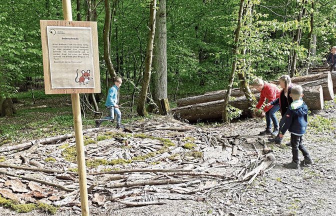 Die große Bodenschnecke aus Naturmaterialien regt die Fantasie der Kinder an.  Fotos: Glemser