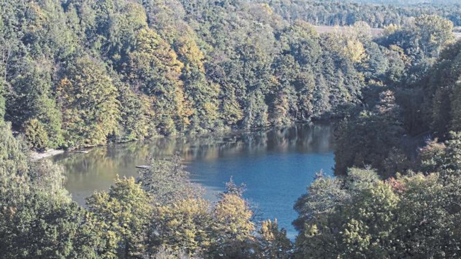 Blick auf den ehemaligen Fischteich der Klosteranlage Maulbronn. Foto: SSG