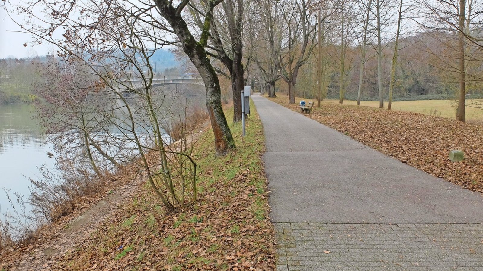 Vom Neckar soll es  eine Verbindung in die Auwiesen geben.Foto: Iris Frey