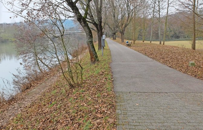 Vom Neckar soll es  eine Verbindung in die Auwiesen geben.<span class='image-autor'>Foto: Iris Frey</span>