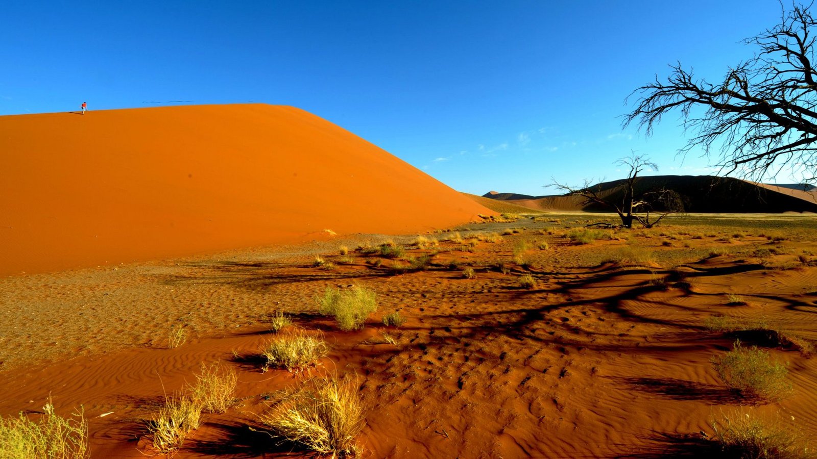 Tödlicher Flugzeugabsturz: Die Touristen aus Heilbronn wollten sich die berühmten roten Sanddünen in Namibia anschauen.Foto: Ralf Hirschberger/dpa/Ralf Hirschberger Tödlicher Flugzeugabsturz: Die Touristen aus Heilbronn wollten sich die berühmten roten Sanddünen in Namibia anschauen.Foto: Ralf Hirschberger/dpa/Ralf Hirschberger